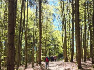 Wanderung am 1. Mai 2026